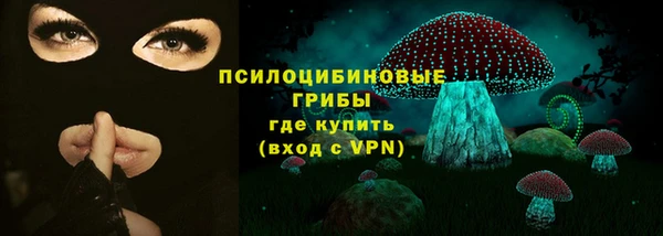 хмурый Алексеевка