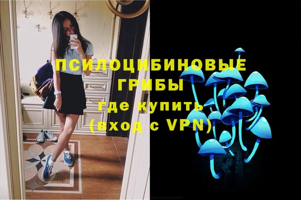 Альфа ПВП Алзамай