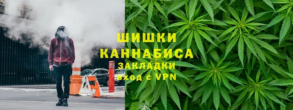 2c-b Горнозаводск