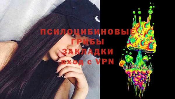 хмурый Алексеевка