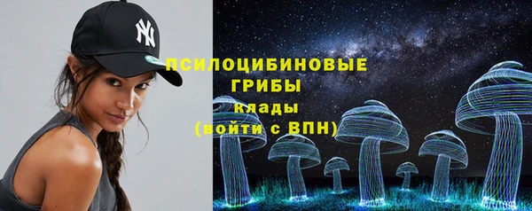 хмурый Алексеевка