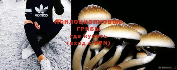 хмурый Алексеевка