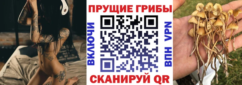 Галлюциногенные грибы MAGIC MUSHROOMS  Каргат 